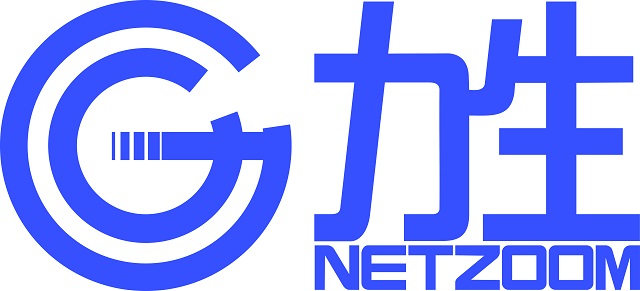 NetzoomLogo