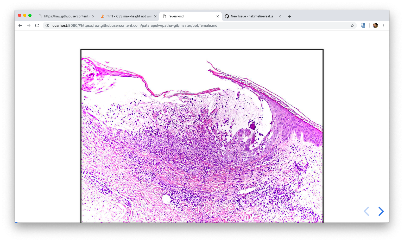 Screen Shot 2019-03-10 at 15 27 06