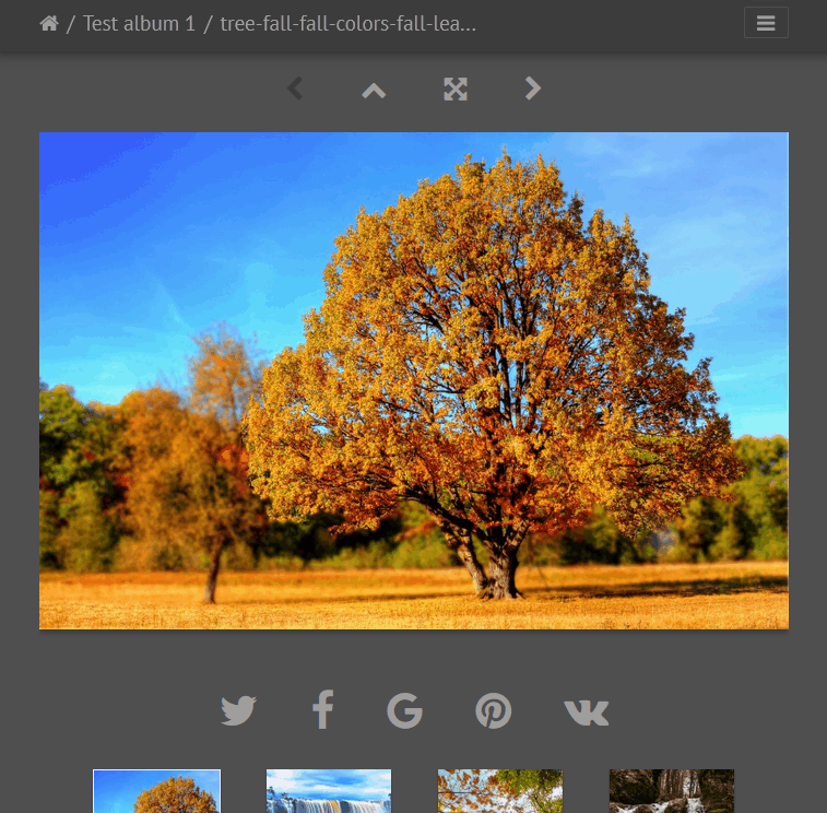 On image click run PhotoSwipe and/or sync images with Piwigo · Issue ...