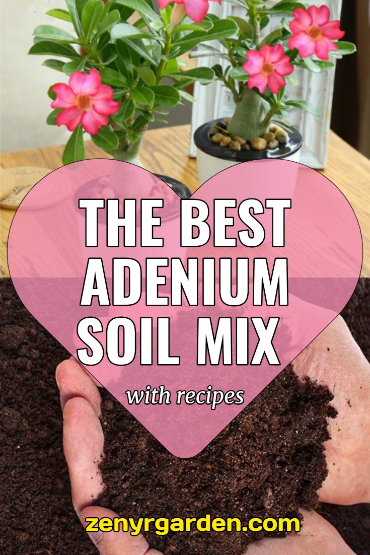 best-adenium-soil-mix