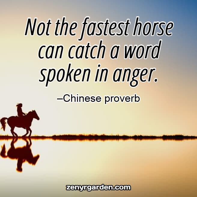 right-speech-quote-chinese-proverb