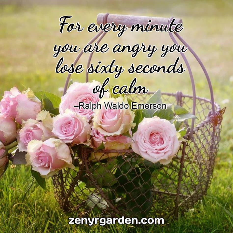 patience-quote-emerson
