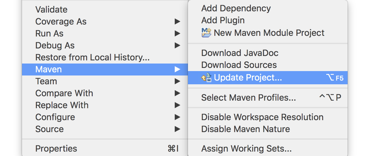maven-update-project