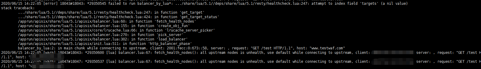 bug: healthcheck bug · Issue #1715 · apache/apisix · GitHub
