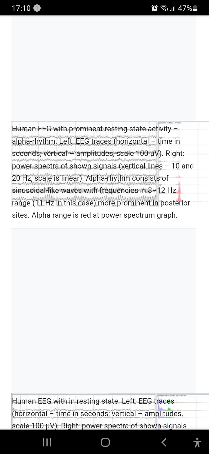 Screenshot_20211001-171031_Medical Wikipedia