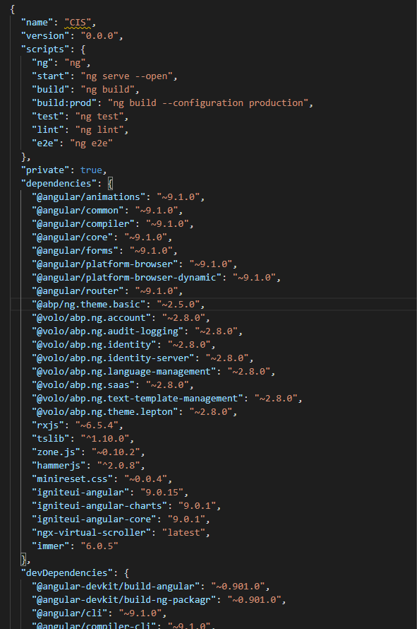 package_json