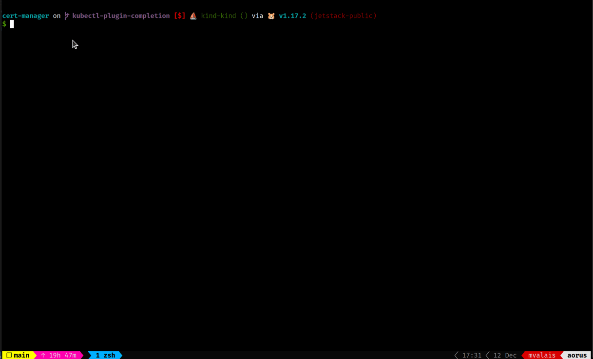 Progress of the support of shell completion for the "kubectl cert