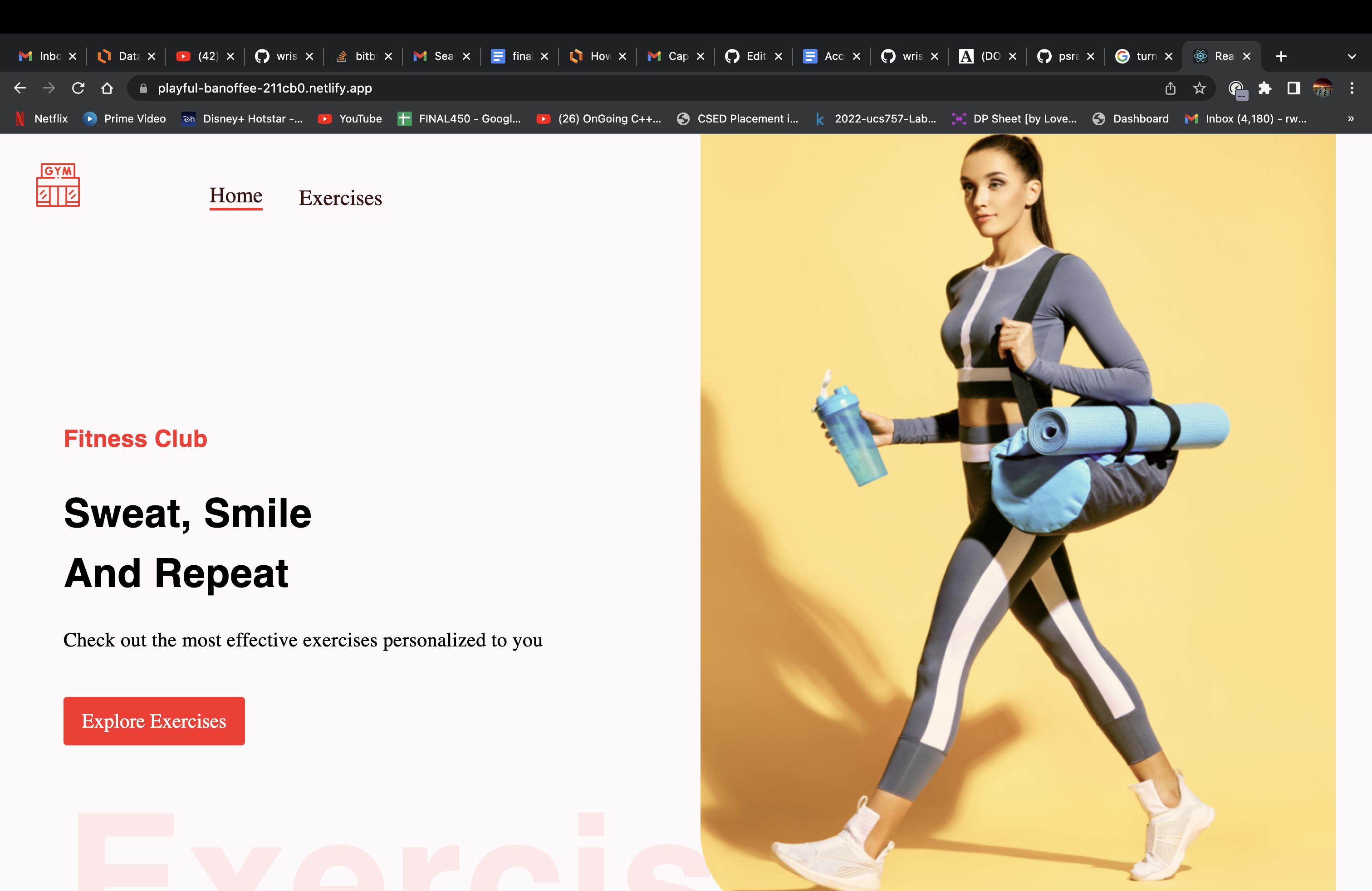 GitHub - wrishav/gym-guide