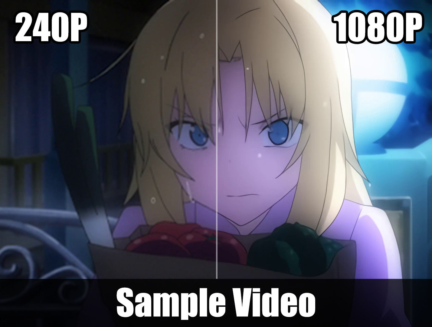 sample_video 