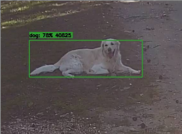 2021-05-30-094930_361x266_scrot