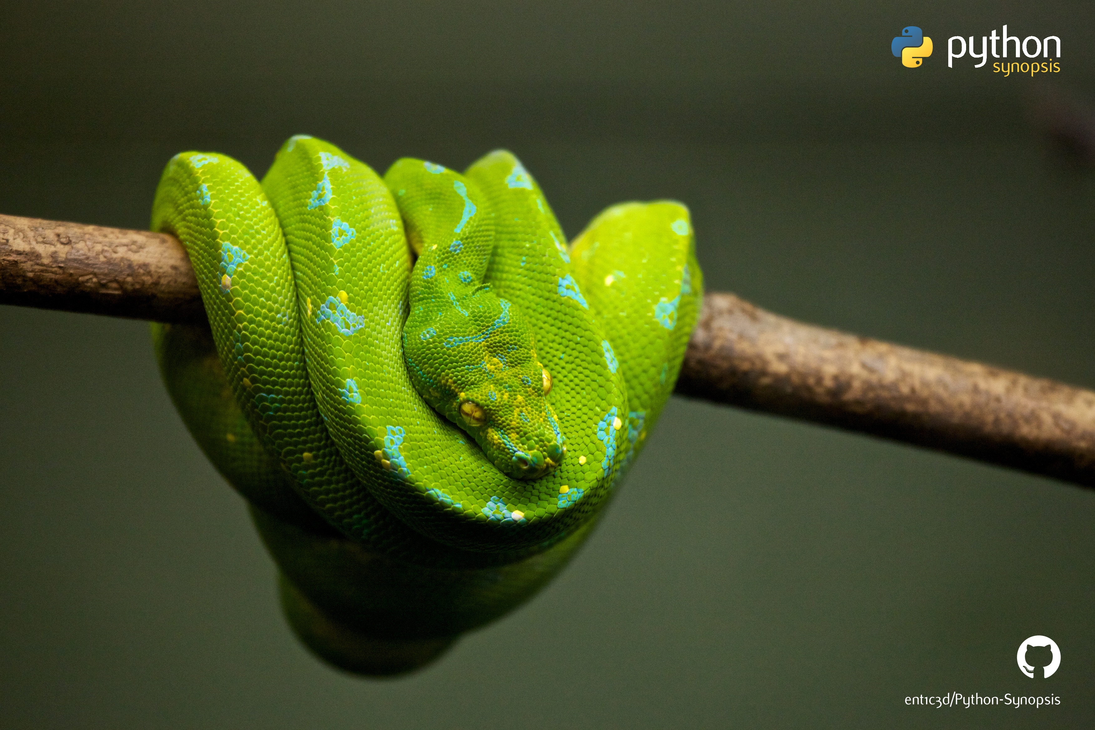 Python Synopsis README md At Master EntGriff Python Synopsis GitHub