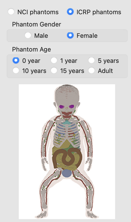 ICRP phantom selection