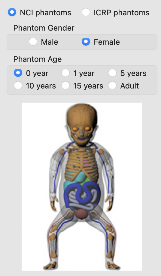 UF/NCI phantom selection