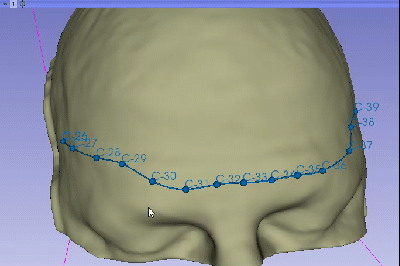 Interactive polyline creation from surface mesh · Issue #295 · pyvista ...
