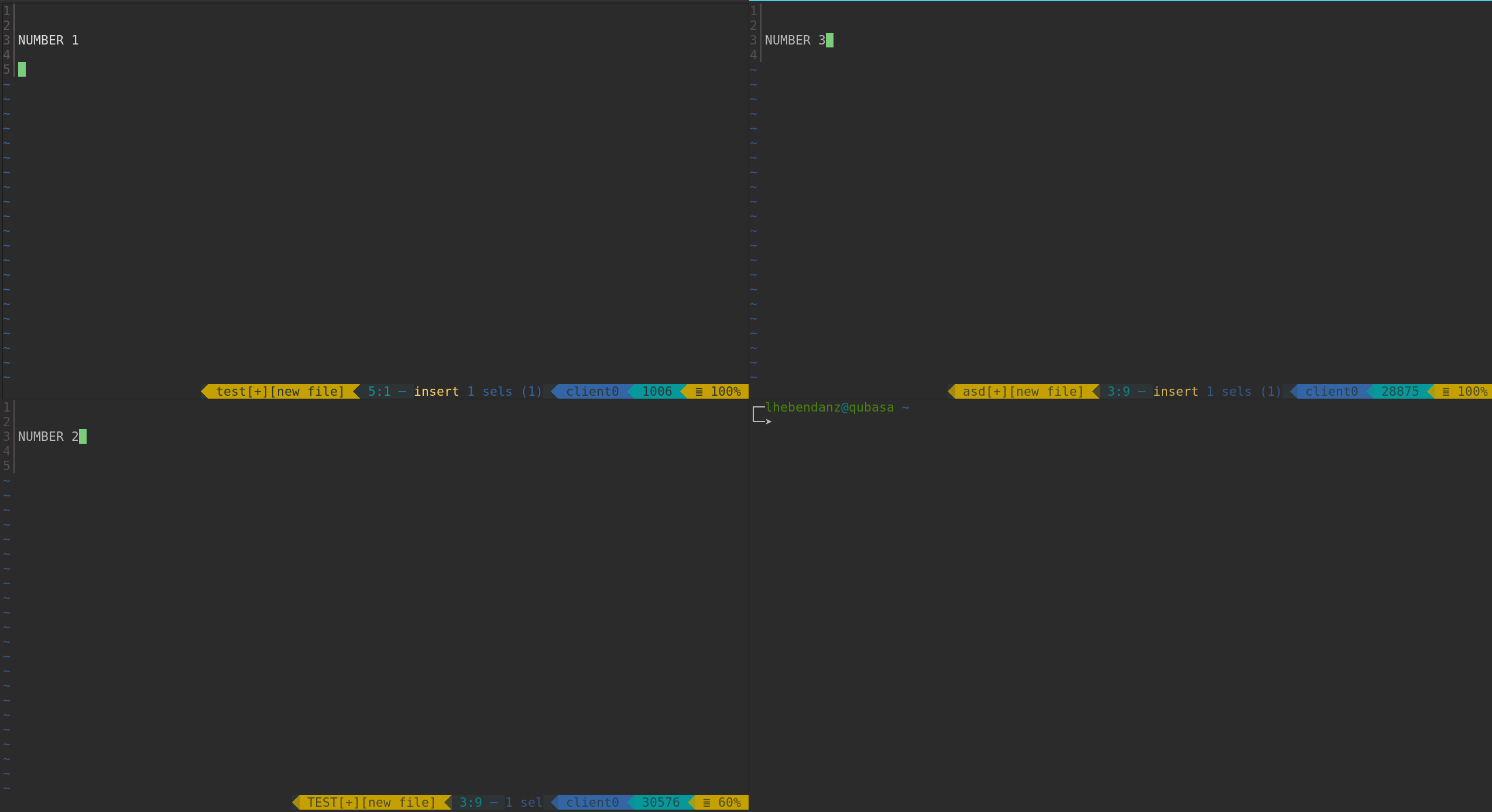 Window opening in weird order · Issue #2275 · kovidgoyal/kitty · GitHub