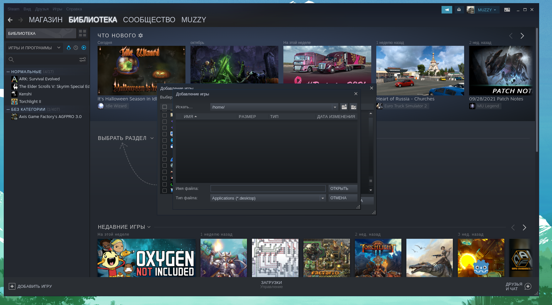 steam_cannot_go_home