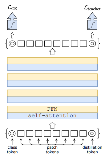 ML Transformer DeiT · Issue #253 · junxnone/aiwiki · GitHub