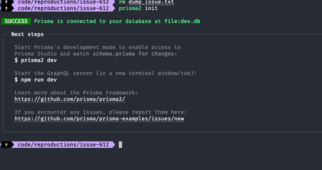 Instructions in the CLI output should use `npm` not `yarn` · Issue 67