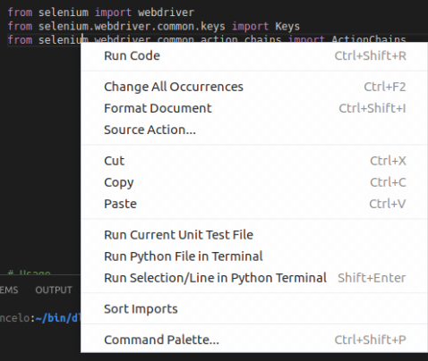 Go to Definition missing from menu [Python] · Issue #5033 · microsoft ...