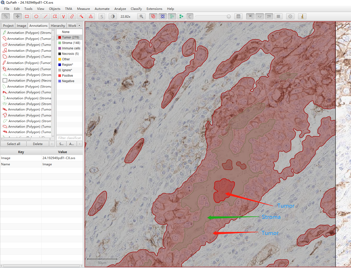 Script export area image, descendant annotation not exported · Issue ...
