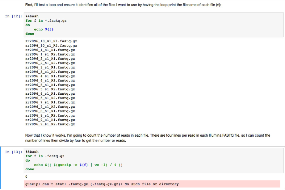Screen Shot 2019-03-18 at 8 53 10 AM