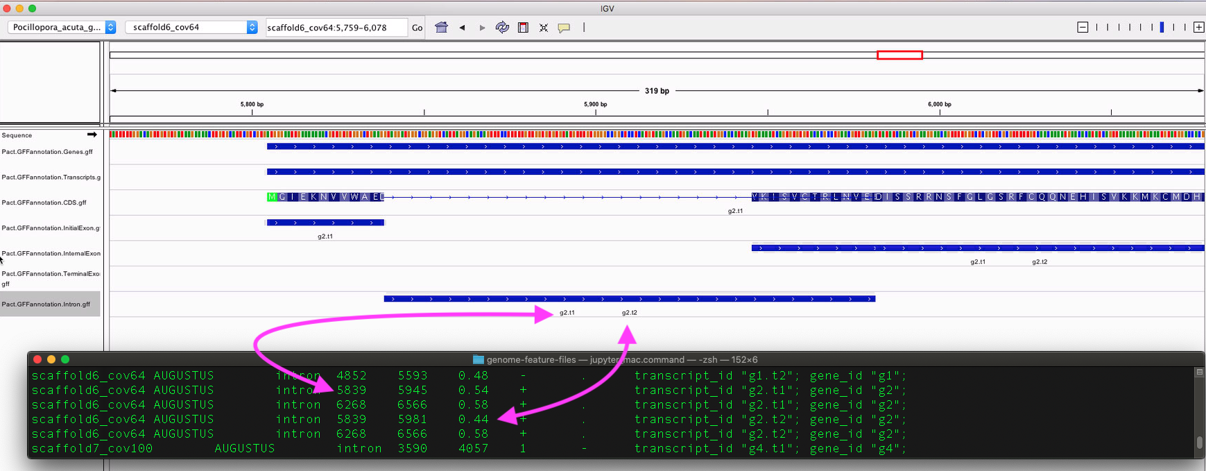 Screen Shot 2020-04-08 at 2 00 34 PM