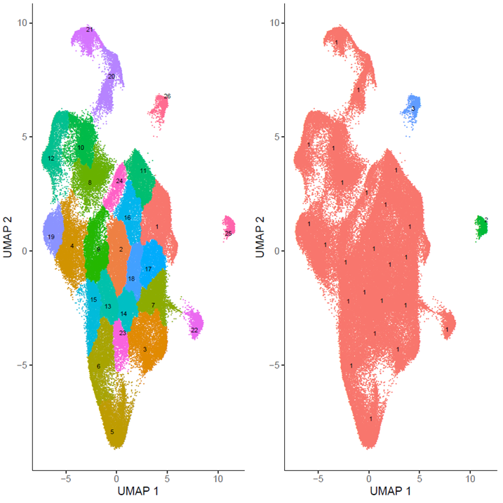 error when running learn_graph · Issue #450 · cole-trapnell-lab ...