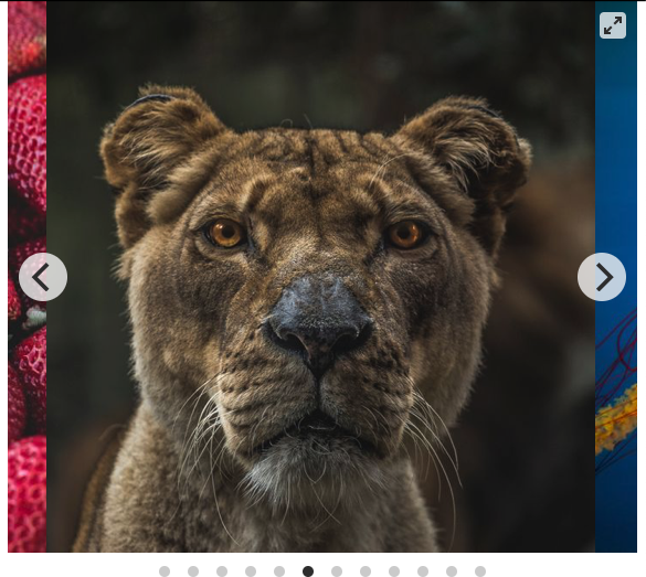 screenshot 2019-01-16 at 22 40 53