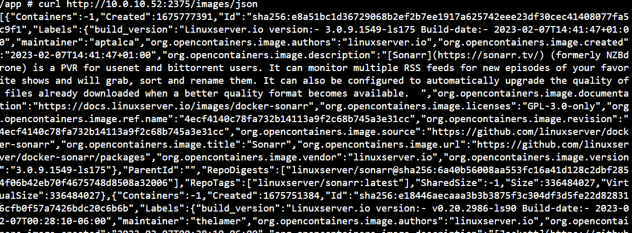 Docker Integration Issues · gethomepage homepage · Discussion #972 · GitHub