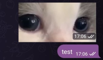 Wrong size of video stickers in telegram desktop · Issue #24227 ...