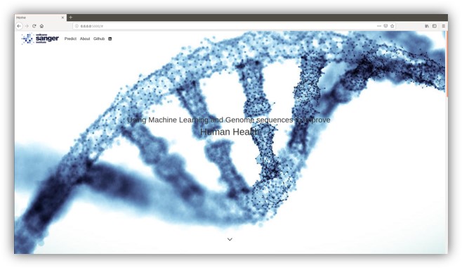 ml-webapp