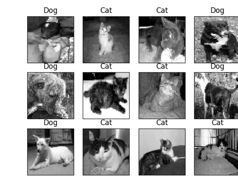 GitHub - davlu/Dog-vs-Cat--ML-1: Tensorflow model to correctly identify ...