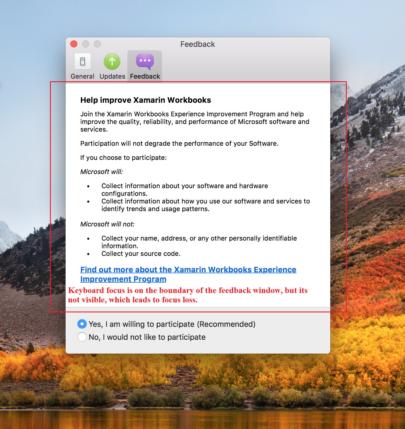 The keyboard focus is traversing the outer-boundary of feedback window ...