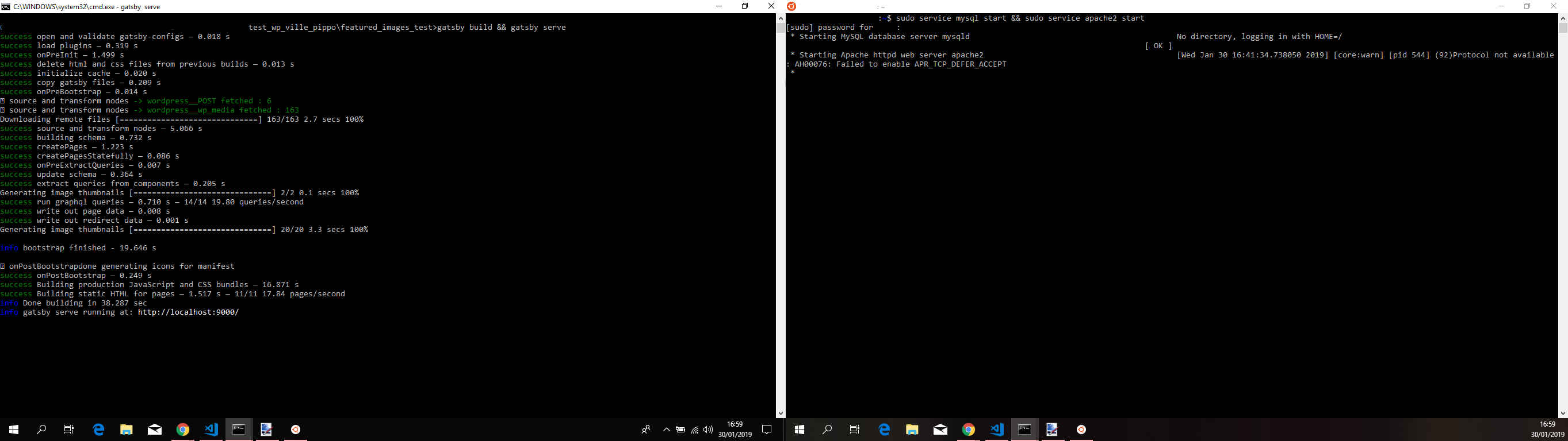 ville_pippo_build_info