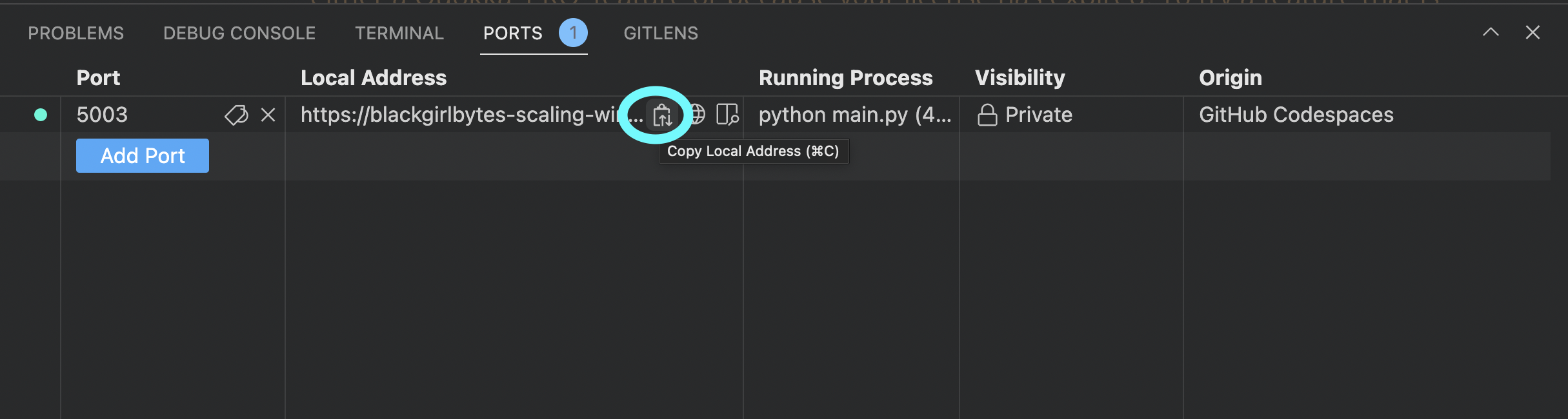 Highlighting clip board icon which shows tooltip thats says Copy local address