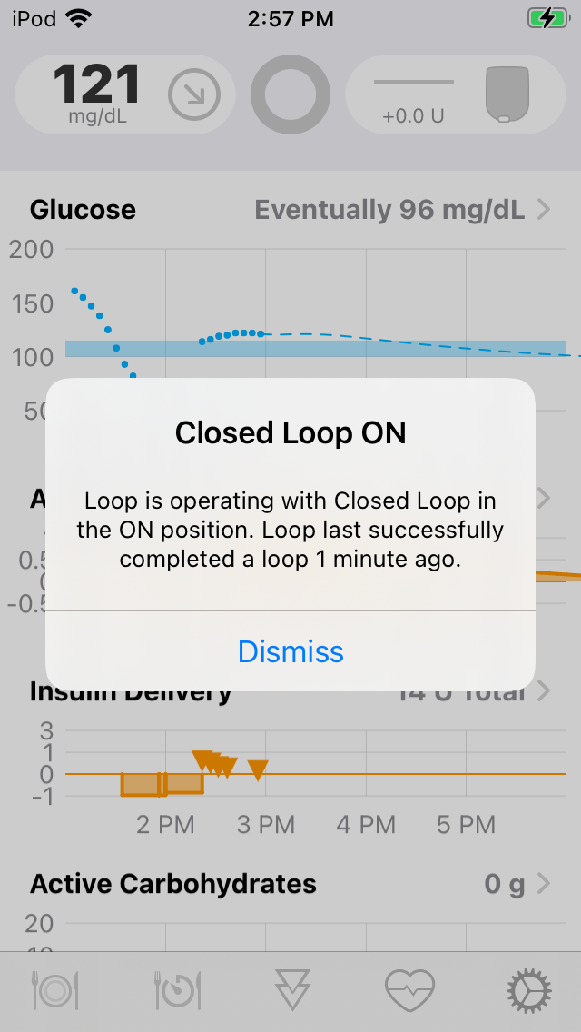 Display last loop time instead of a fixed per loop color strings ...