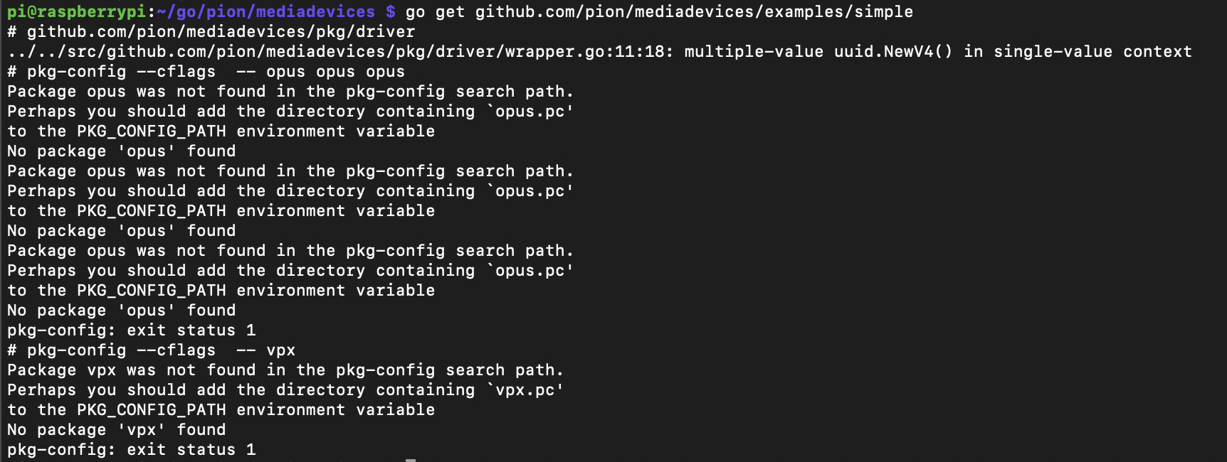 go-pion-mediadevices-get