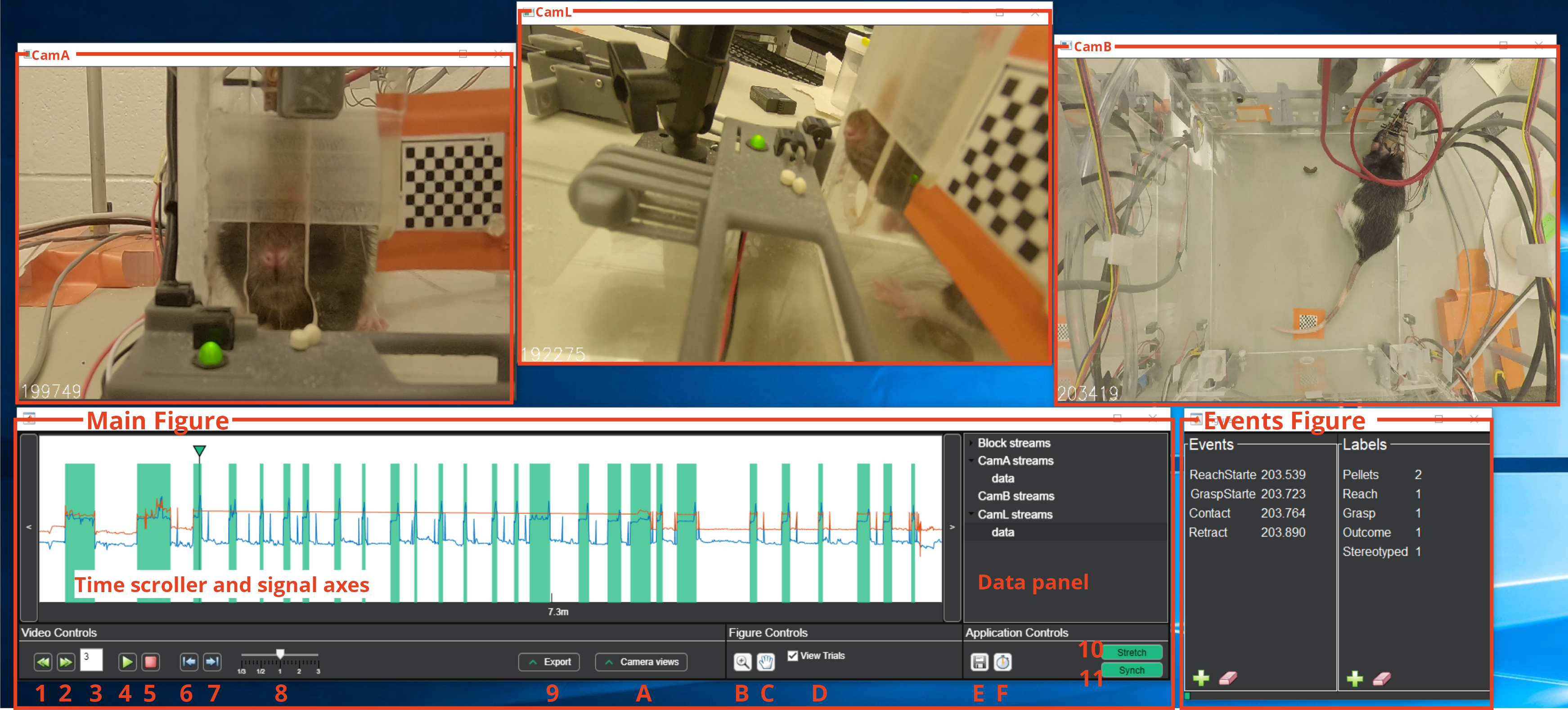 VideoScorer interface. 