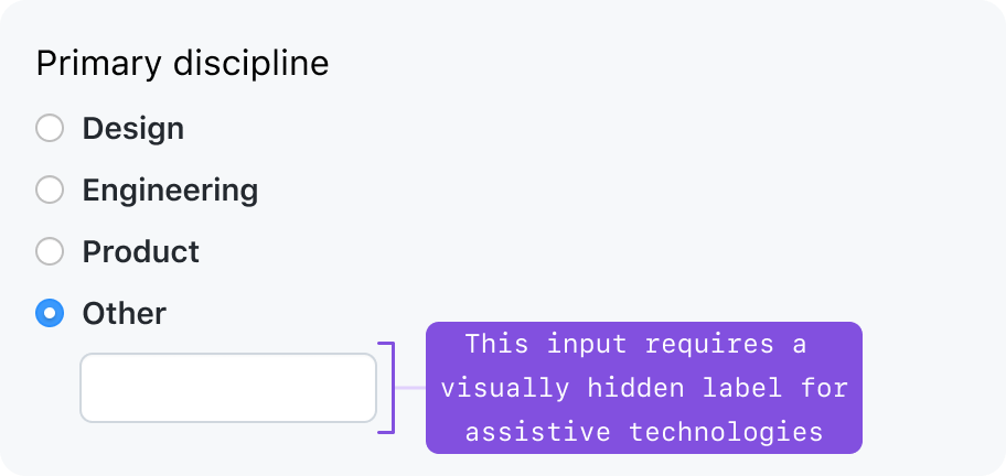 Primary discipline radio buttons, selected 'Other' option reveals a text input