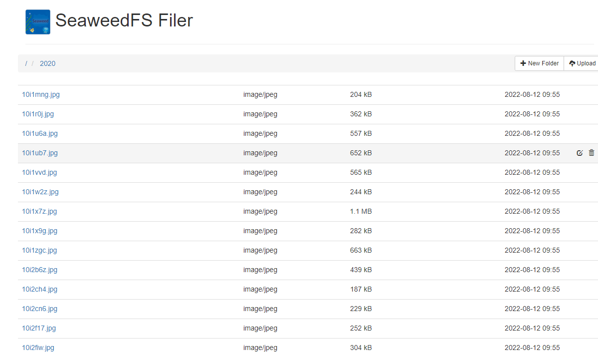 filer服务使用目录上传，有时成功，有时失败 · Issue #3435 · seaweedfs/seaweedfs · GitHub