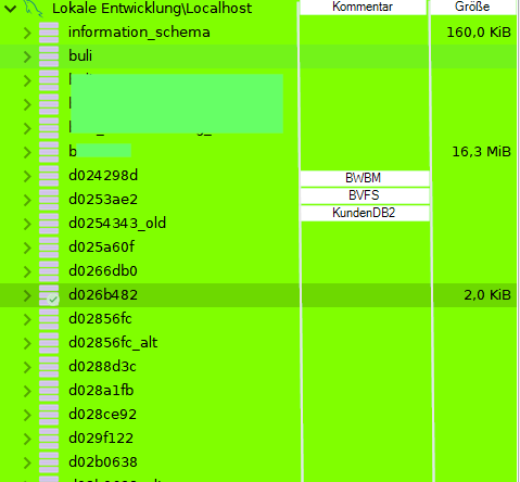 2019-06-18 16_19_39-Lokale Entwicklung_Localhost_d026b482_ - HeidiSQL 10 2 0 5599