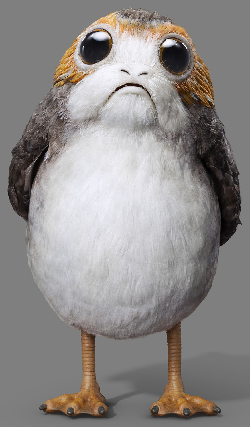 porg