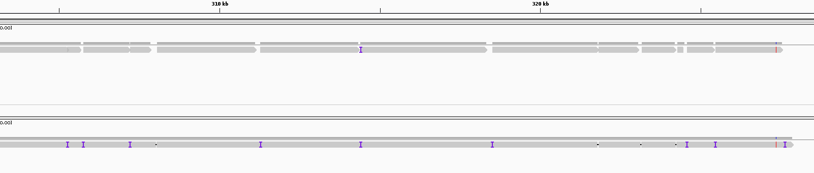 produce gapless alingments · Issue #672 · lh3/minimap2 · GitHub