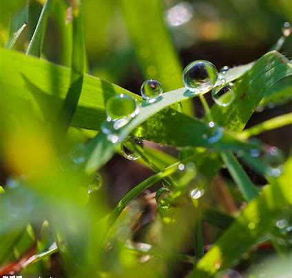 waterball