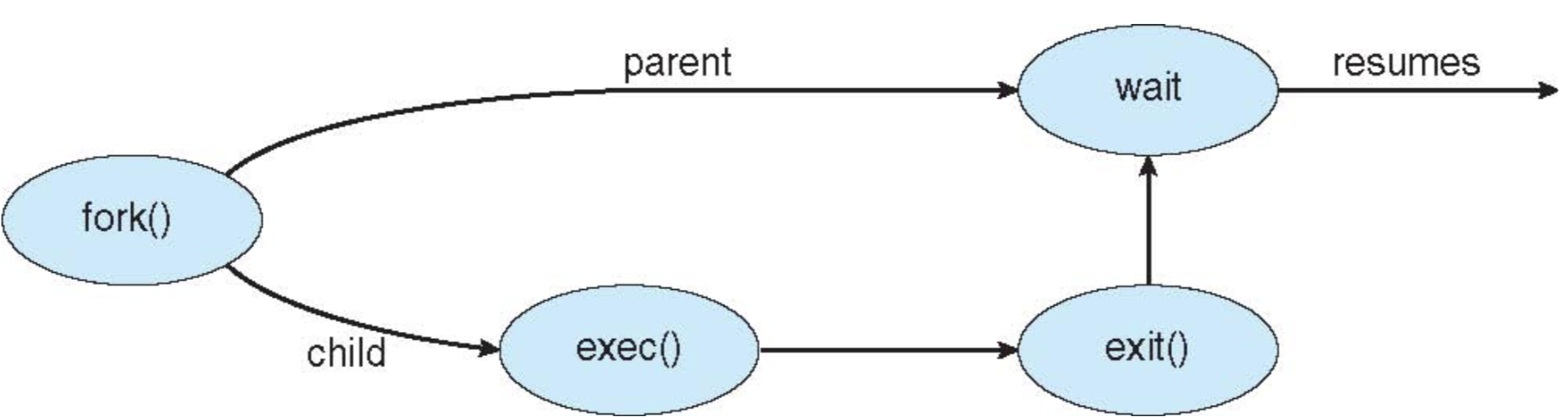 Process Creation