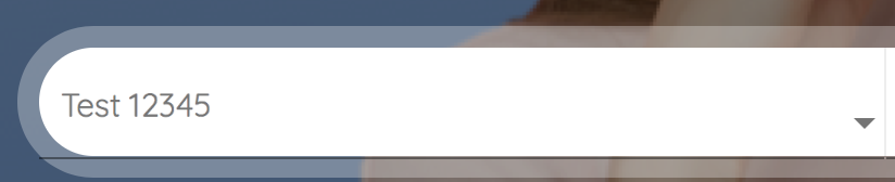 Remove underline for dropdown in material version · Issue #744 · ng ...