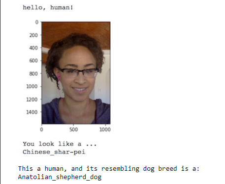 GitHub - dilimou/Dog-Breed-Classifier