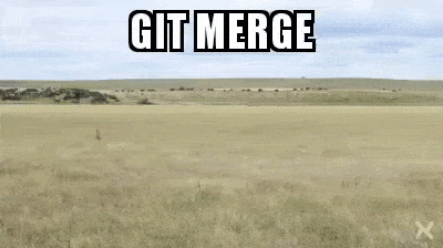 git_merge