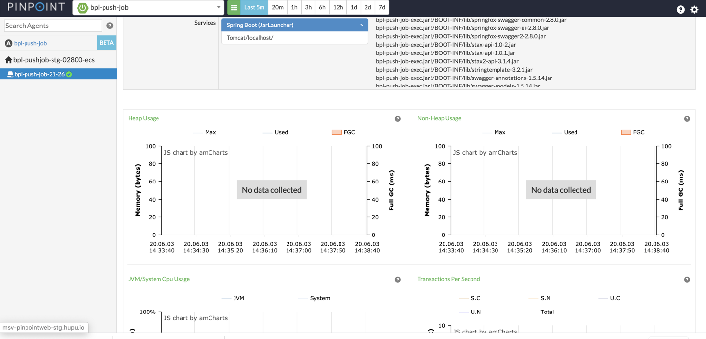After restarting the application, the JVM information is lost: · Issue ...