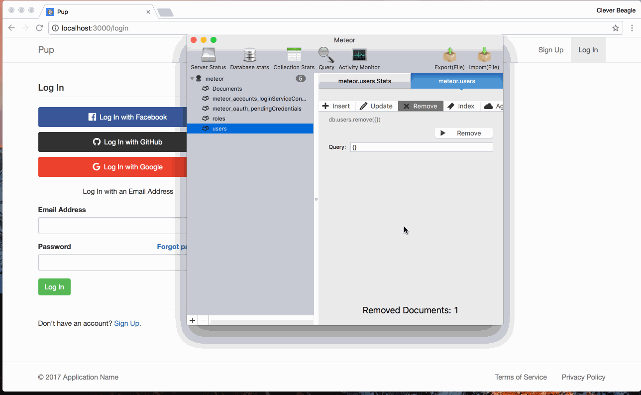 User name not showing when logging in with Google · Issue #31 ·  cleverbeagle/pup · GitHub